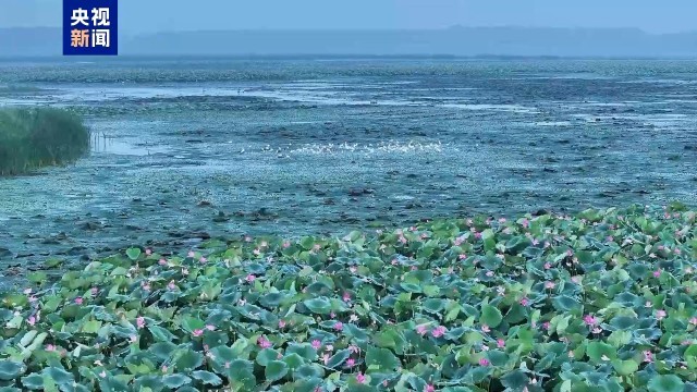 俯瞰秋日湿地 绝美壁纸已上新缩略图